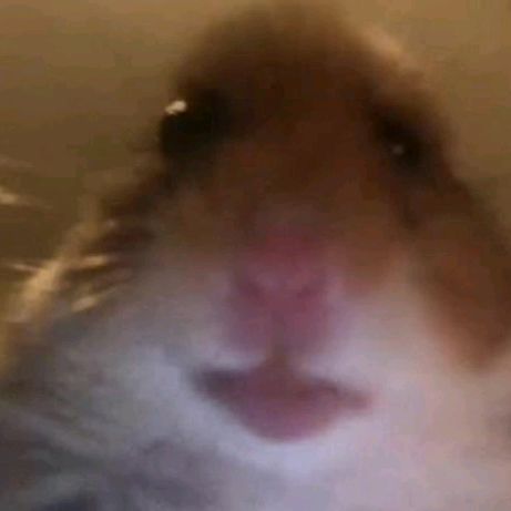 Profile Picture of gavinhuff375 (@gavinhuff375) on Tiktok