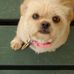 Profile Picture of Barbara Lindsey Dial (Barbara Lindsey Dial) (@barbara.dial.71) on Facebook