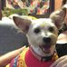 Profile Picture of Minnie Vincent (@minnie.vincent.5) on Facebook