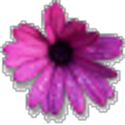 Profile Picture of Lisa Maciejewski (@lisaverhaagh) on Twitter