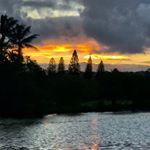 Profile Picture of Richard Kimura (@roushichi) on Instagram