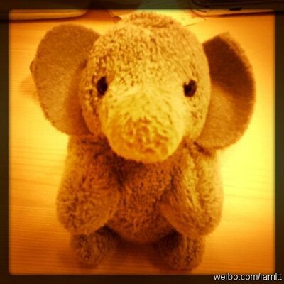Profile Picture of Zhang (@cloud_wing) on Twitter