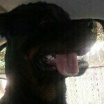 Profile Picture of Scott Crothers (@scottc429) on Instagram