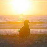Profile Picture of Moeter51 (@moeter51) on Flickr