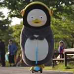 펭윙(날개덕💙) - Instagram Profile Picture of 펭윙(날개덕💙) (@peng_w_ing) on Instagram