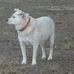 Profile Picture of Phillip Eller (@phillip.eller.7) on Facebook