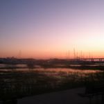 Profile Picture of AFishcalledA (@lowcountrydixiefish) on Instagram