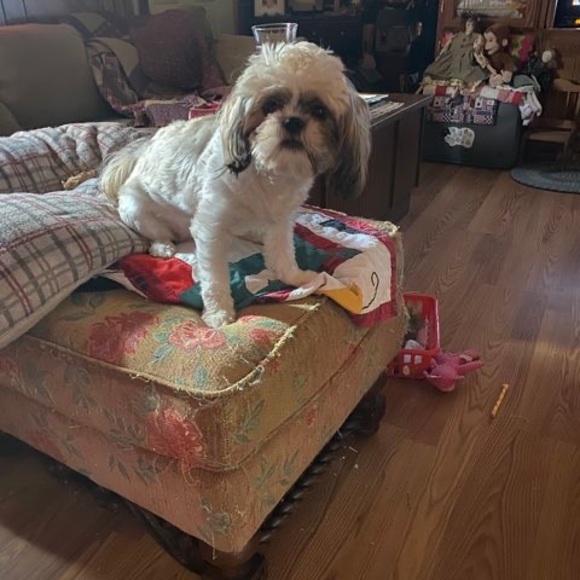 Profile Picture of Wanda Thompson (@wandaj02002) on Poshmark