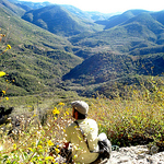 Profile Picture of Cesar Imix Perez Duran (@cesarivanpd86) on Flickr