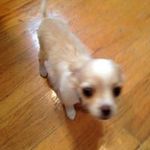 Profile Picture of Kenneth Hogue (@jeffco_bowhunters) on Instagram