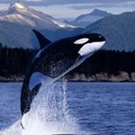 Profile Picture of Robert Stillemant (@robertstillemant) on Instagram