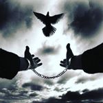 Profile Picture of Вадим Марксович (@umarmarksovich) on Instagram