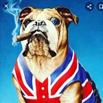 Profile Picture of stephen jackson (@steviepro12) on Instagram