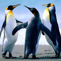 Profile Picture of Shawn Pinney (@shawn-pinney) on Quora