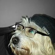 Profile Picture of Spyros-g Pappas (@pappaspyros) on Pinterest