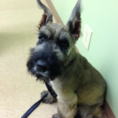 Profile Picture of Mary Bagley (@marybagley5) on Twitter