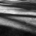 Profile Picture of Mario Montenegro (@mariomontenegro) on Flickr