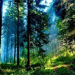 Profile Picture of kristian.pavlovic (@kristian.pavlovic) on Instagram