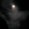 Profile Picture of Mike Monroe (@@understudy1980) on Tiktok