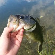 Profile Picture of Josh Ranck (@JoshuaRanck) on Twitter