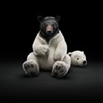 Profile Picture of Alejandro Manilla Cordova (@bebe_alex2002) on Instagram