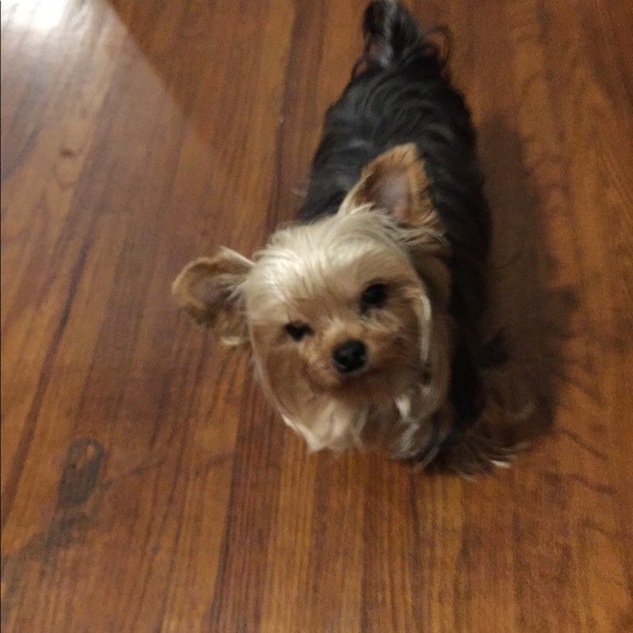 Profile Picture of Sam Robbins (@jackdavisgold) on Poshmark