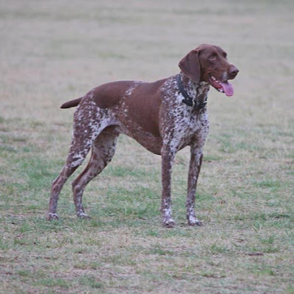 Profile Picture of Bryce Milewski (@bmilewski629) on Poshmark