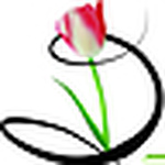 Profile Picture of Maylin Jackelyn Alvarado Miranda (@jacky alvarado) on Flickr