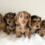 Profile Picture of larry Barker (@larrybakar) on Instagram