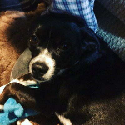 Profile Picture of Stacy Ulm (@Stacystacyu2) on Twitter