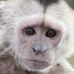 Profile Picture of ^^ ELZA II jebnutá ^^ (@kolacek_a_buchta) on Instagram