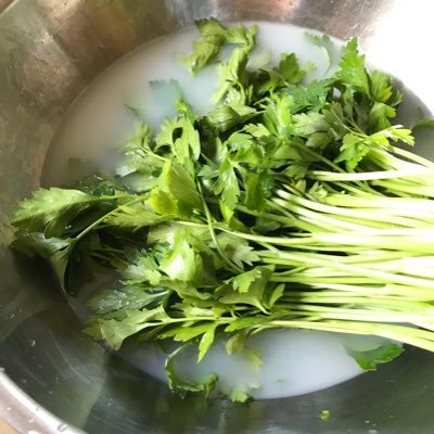 Profile Picture of George Hall (@hallal_george) on Twitter