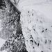 Profile Picture of Tyler Vanderpool (@vanderpool74) on Pinterest