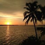 Profile Picture of Nancy Puleo (@nancypuleo) on Instagram