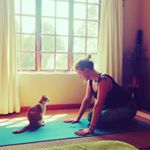 Profile Picture of Simone Burger 🌿 (@gaialove_yoga) on Instagram