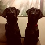 Profile Picture of Kevin Polley (@polley.kevin) on Instagram