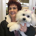 Profile Picture of Karen Engle (@karen.engle.585) on Instagram