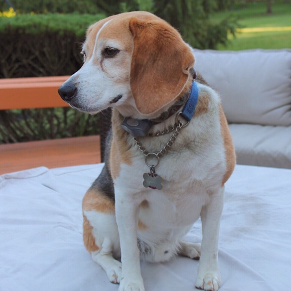 Profile Picture of Crissy Murphy (@cmurp7) on Poshmark