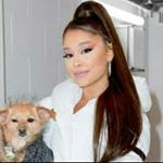 Profile Picture of brenda garduno (@ariana_grande_b_gfan) on Instagram