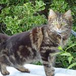 Profile Picture of Gerald Schäfer (@gerald.schaefer.10) on Instagram