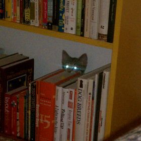 Profile Picture of jill moore (@okjill) on Pinterest