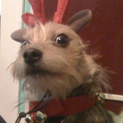 Profile Picture of Dan Geller (@Dandercore) on Twitter