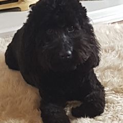 Profile Picture of Maxine Mahoney (@maxinemahoney64) on Tiktok