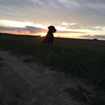 Profile Picture of Philipp Walter (@philipp6441) on Instagram
