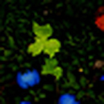 Profile Picture of Ram Mahajan (@ram mahajan) on Flickr