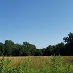 Profile Picture of Mark Bauer (@bauergrammer) on Instagram