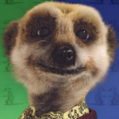 Profile Picture of Ken Pasternak (@Ken_Pasternak) on Twitter