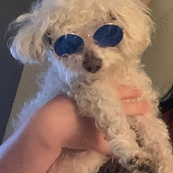 Profile Picture of Eva Alvarez (@evaalvarez37) on Poshmark