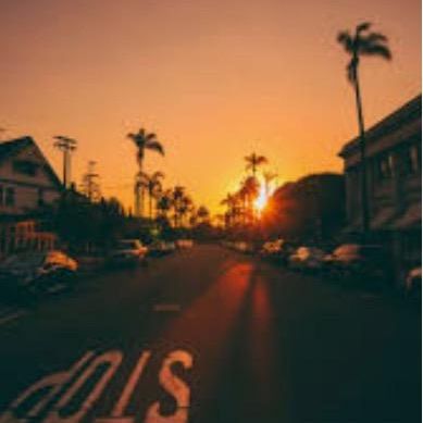 Profile Picture of Amanda (@amandahitchings) on Tiktok