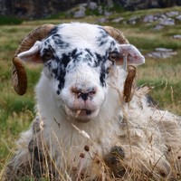 Profile Picture of Gordon Harris (@gordon-harris-16) on Quora